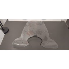 Kymco People One Plexi