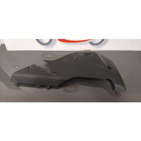 Kawasaki ZX 10 Hasidom