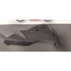 Kawasaki ZX 10 Hasidom