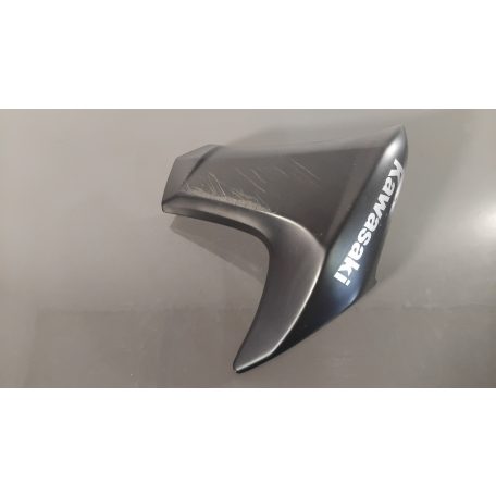 Kawasaki ER-6N - Bal oldalidom - 49125-0554