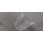 Honda Cbr 600 RR Plexi