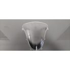 Suzuki SV 650 '07 Plexi