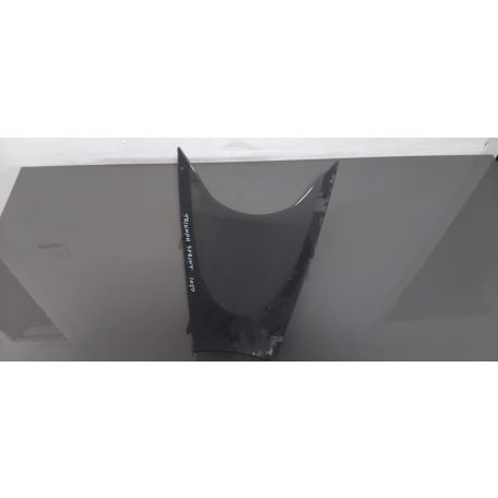Triumph Sprint 1050 Plexi