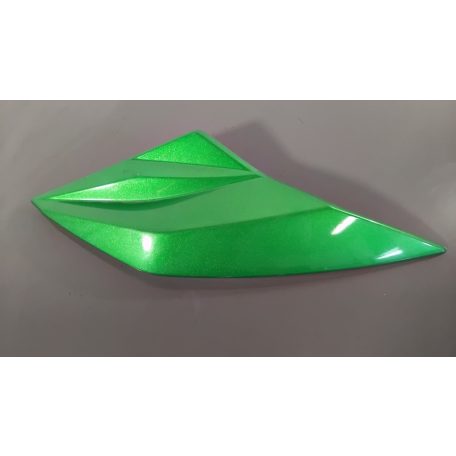 Kawasaki Z1000 (2010-2013) - Jobb oldalidom - 55028-0364