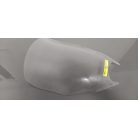 Yamaha Fzs 1000 Fazer '02 Plexi
