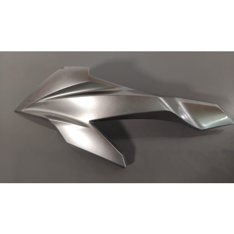 Kawasaki Z 1000 SX (2020) - Bal oldali idom - 55028-0617