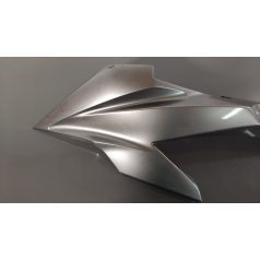 Kawasaki Z 1000 SX (2020) - Bal oldali idom - 55028-0617