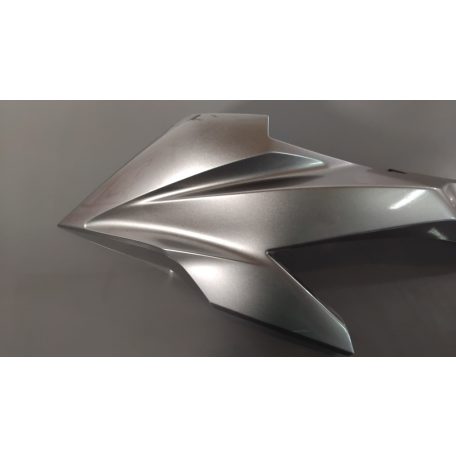 Kawasaki Z 1000 SX (2020) - Bal oldali idom - 55028-0617