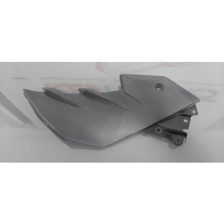 Kawasaki ER 300 Idom