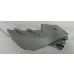 Kawasaki ER 300 Idom