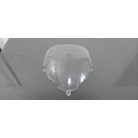 Suzuki GSX 600 F Plexi