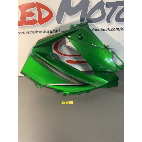 Kawasaki Z 1000 SX oldalidom