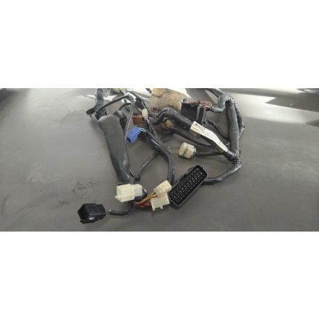 Honda Hornet 600 vezeték köteg